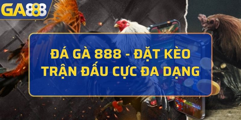Đá gà 888
