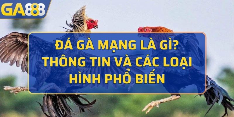 Đá gà mạng