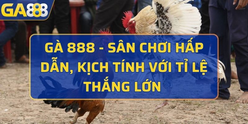 gà 888