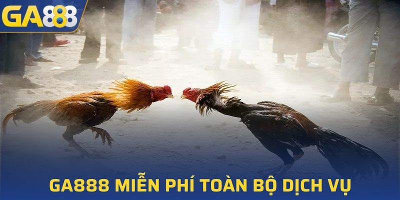 GA888 miễn phí toàn bộ dịch vụ, cho phép xem đá gà cực chất lượng