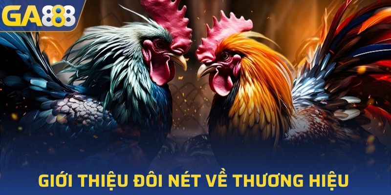 Giới thiệu đôi nét về thương hiệu nhà cái uy tín GA888
