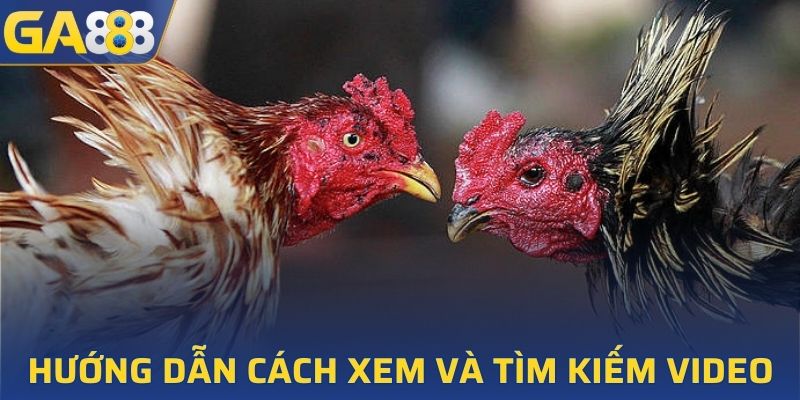 Hướng dẫn tìm kiếm và lựa chọn video 