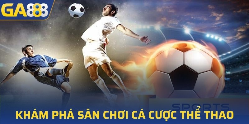 Khám phá sân chơi cá cược thể thao 