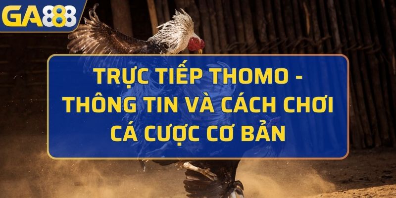 Trực tiếp Thomo